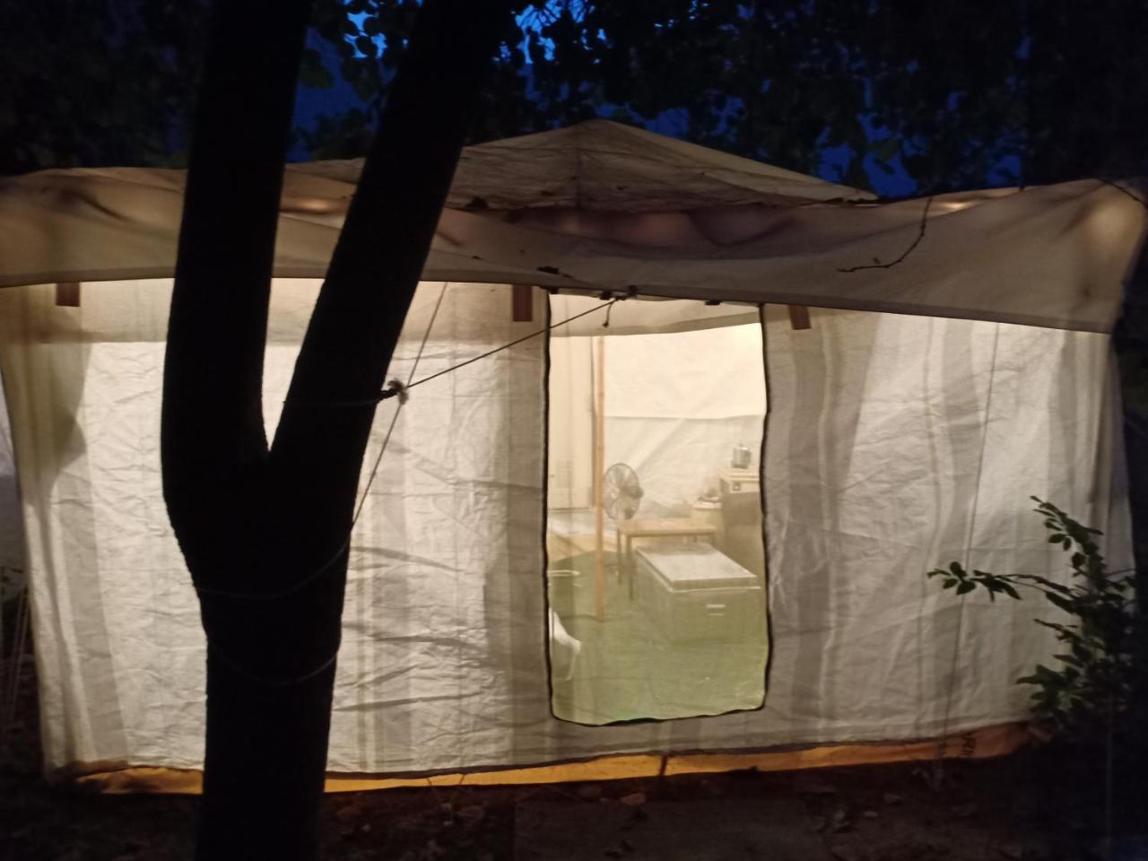 Nature Trail Camps &