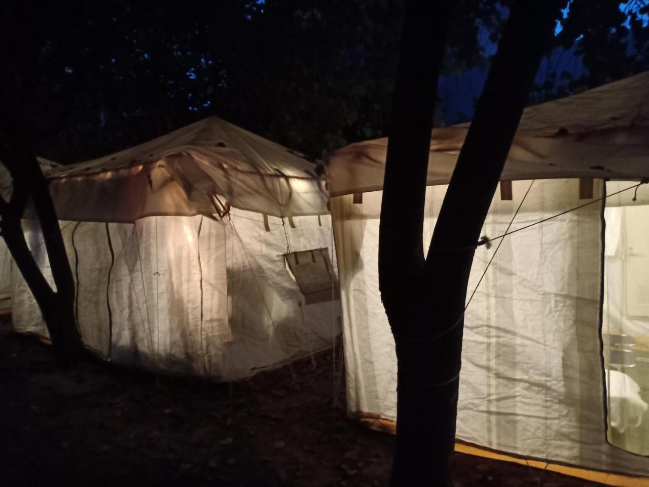 Luxury tent Nature Trail Camps & 3*