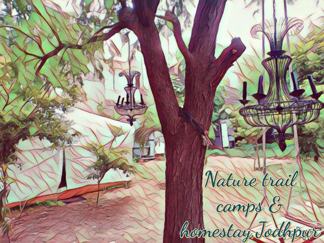 Nature Trail Camps & 3*
