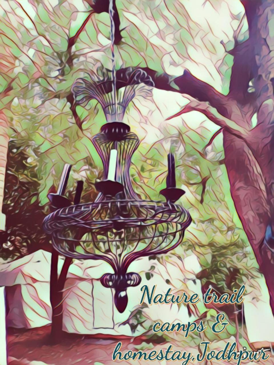 Nature Trail Camps & Luxury tent 3*