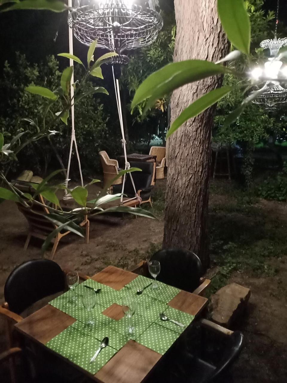 Nature Trail Camps & 3* Jodhpur (Rajasthan)