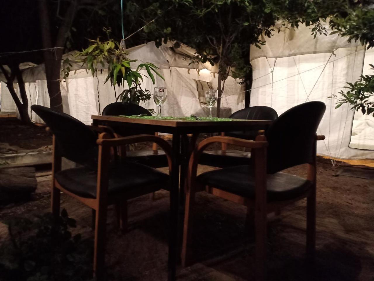 Nature Trail Camps & Jodhpur (Rajasthan)