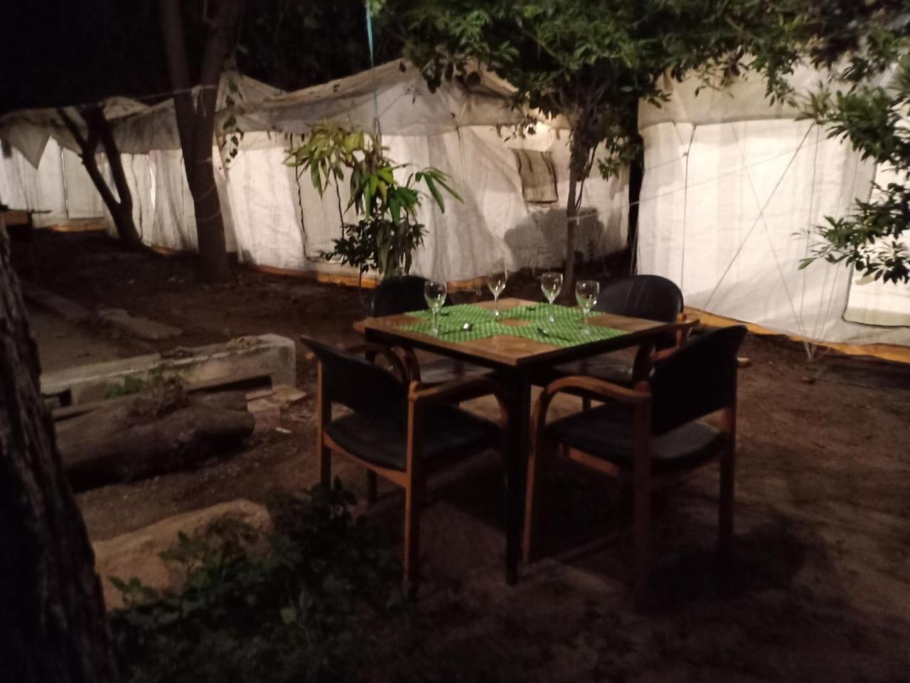 Luxury tent Nature Trail Camps & Jodhpur (Rajasthan)