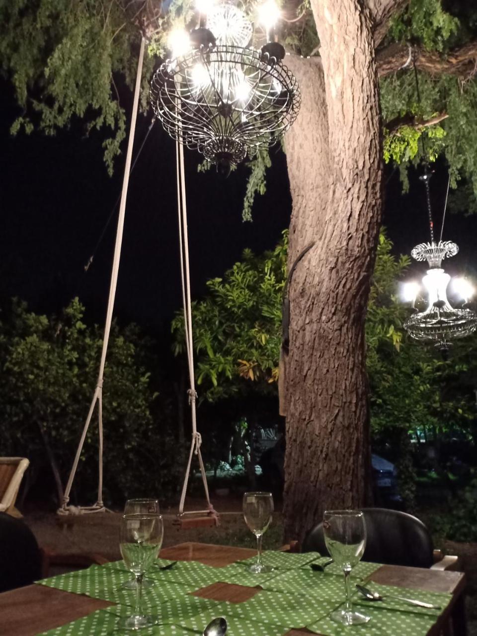 Nature Trail Camps & Luxury tent