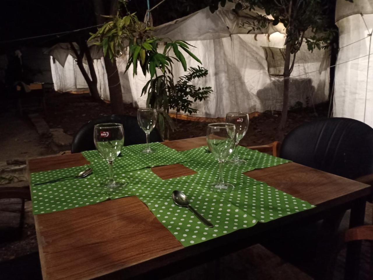 Nature Trail Camps & Jodhpur (Rajasthan)