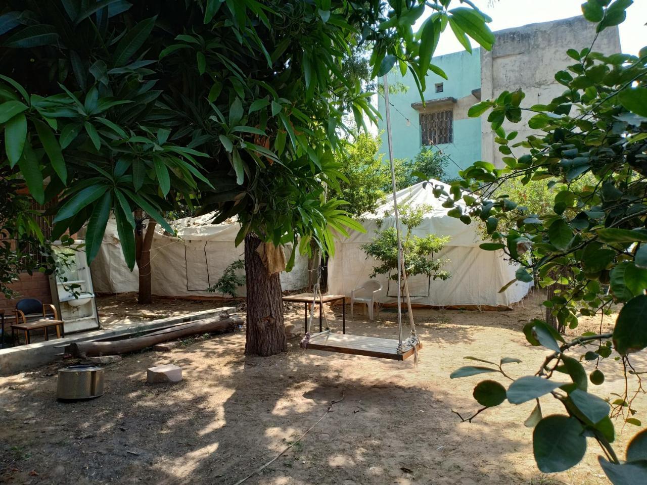 Nature Trail Camps & Luxury tent 3*