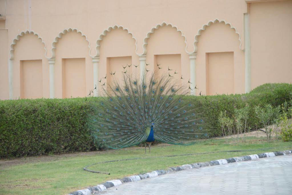 Ummed Jodhpur Hotel 5*