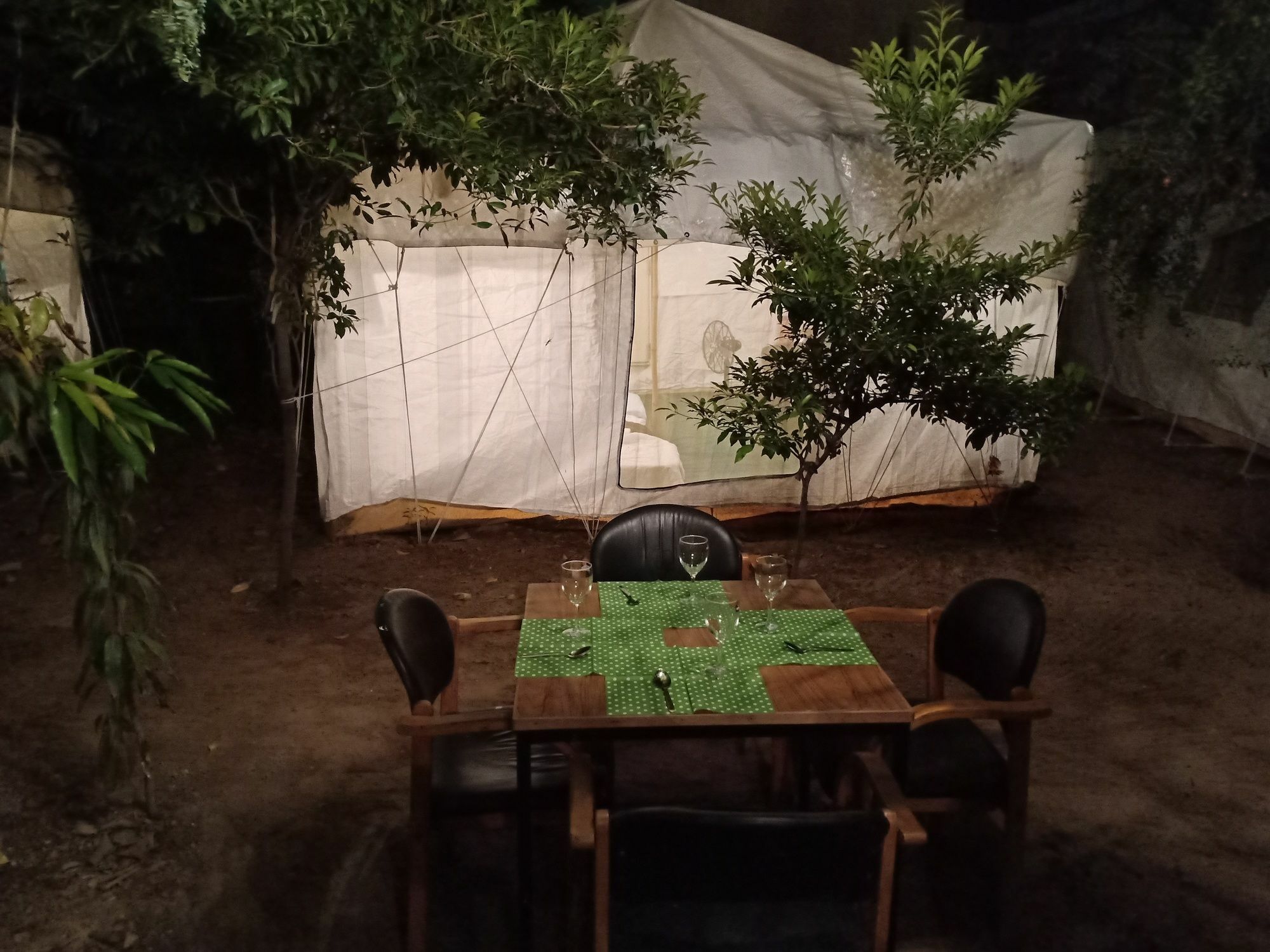 Nature Trail Camps & Jodhpur (Rajasthan)