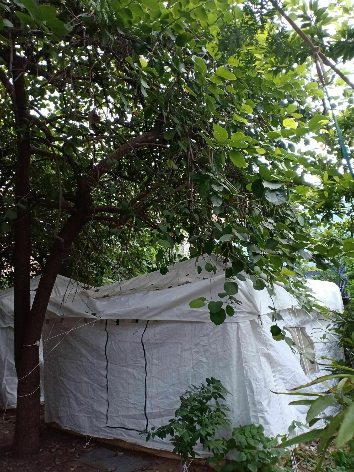 Nature Trail Camps & Luxury tent 3*
