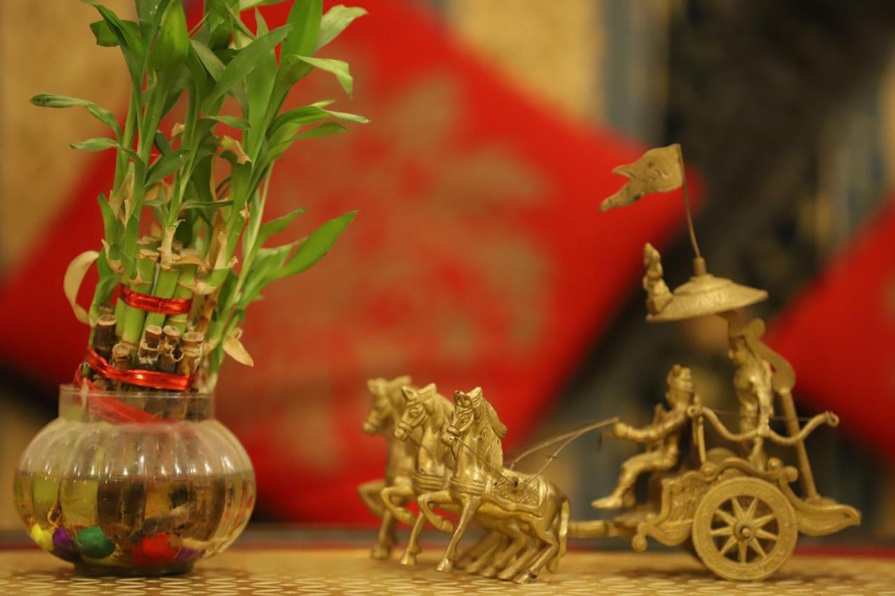 The Kothi Heritage